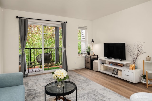 living room featuring light wood-type flooring