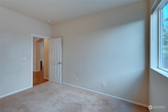 spare room with a wealth of natural light and carpet flooring