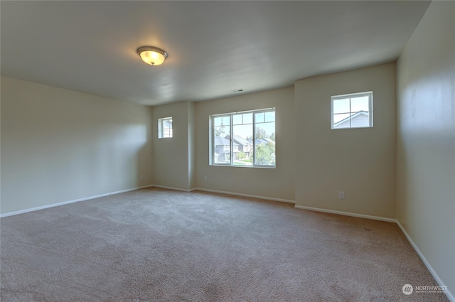 carpeted spare room with a wealth of natural light