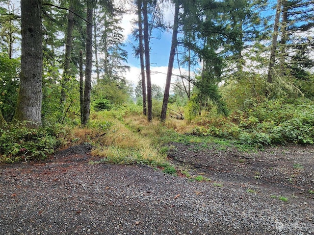 11736 Vail Cut Off Rd SE, Rainier WA, 98576 land for sale