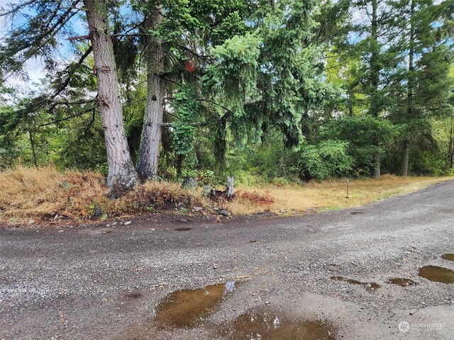 11736 Vail Cut Off Rd SE, Rainier, WA 98576
