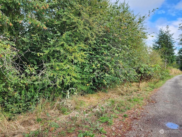 11736 Vail Cut Off Rd SE, Rainier, WA 98576
