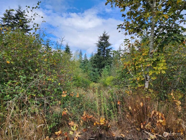 11736 Vail Cut Off Rd SE, Rainier, WA 98576