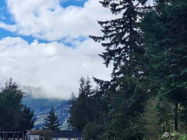 11736 Vail Cut Off Rd SE, Rainier, WA 98576