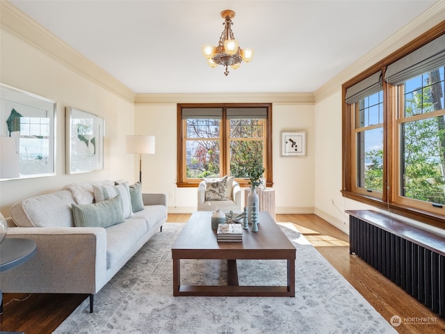 living room with crown molding, radiator heating unit, and light hardwood / wood-style floors