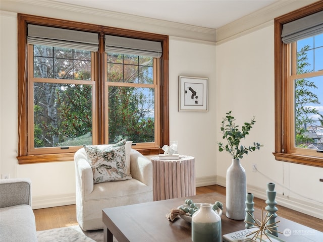 living room featuring ornamental molding, light hardwood / wood-style floors, and a healthy amount of sunlight