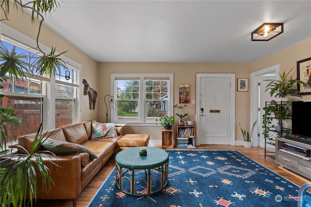 living room featuring hardwood / wood-style flooring