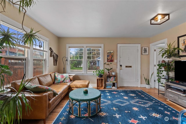 living room with baseboards and wood finished floors