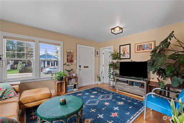 living room with hardwood / wood-style floors