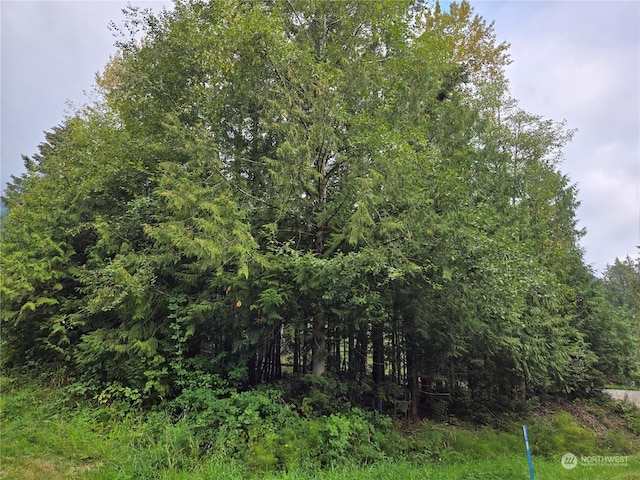 2996 Brook Ln, Sedro Woolley, WA 98284