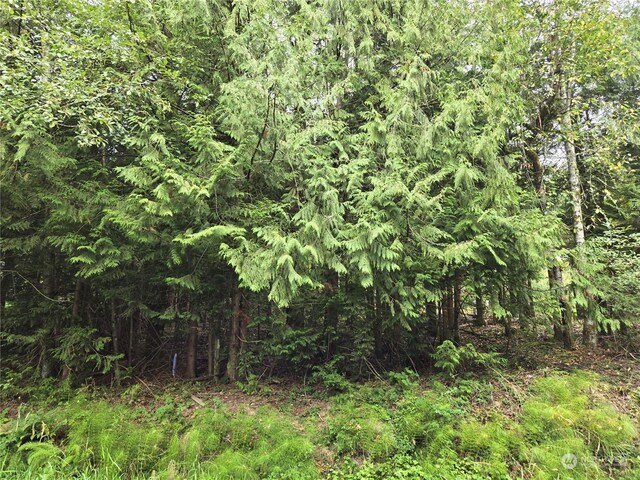 2996 Brook Ln, Sedro Woolley, WA 98284
