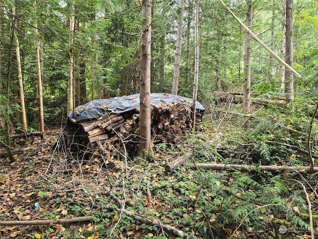 2996 Brook Ln, Sedro Woolley, WA 98284