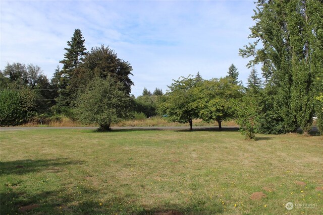 30 Alfredson Rd, Oakville, WA 98568 - photo 18