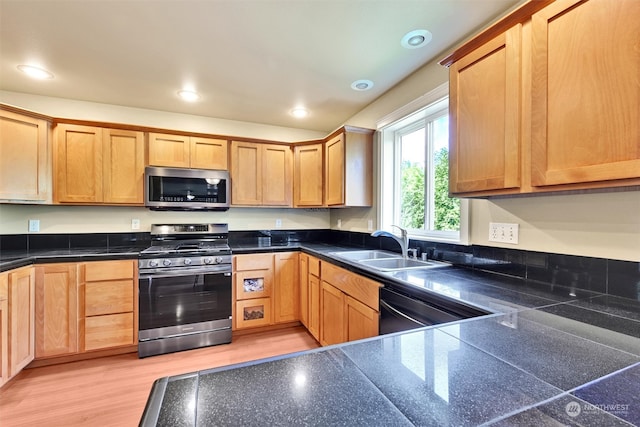 kitchen featuring light wood-type flooring, stainless steel appliances, and sink