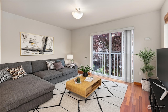 living room with light wood-type flooring