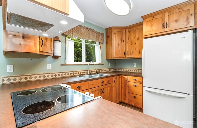 kitchen featuring ventilation hood, black electric cooktop, sink, and white fridge