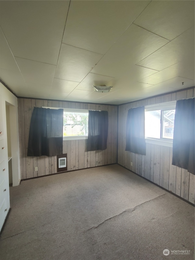 carpeted spare room featuring wooden walls and a wealth of natural light