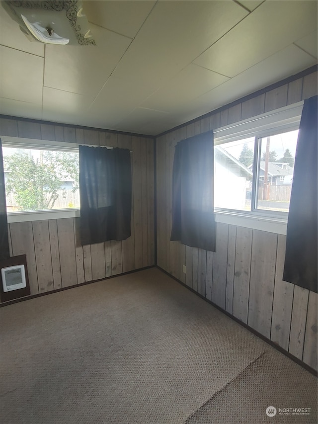 carpeted spare room featuring wooden walls