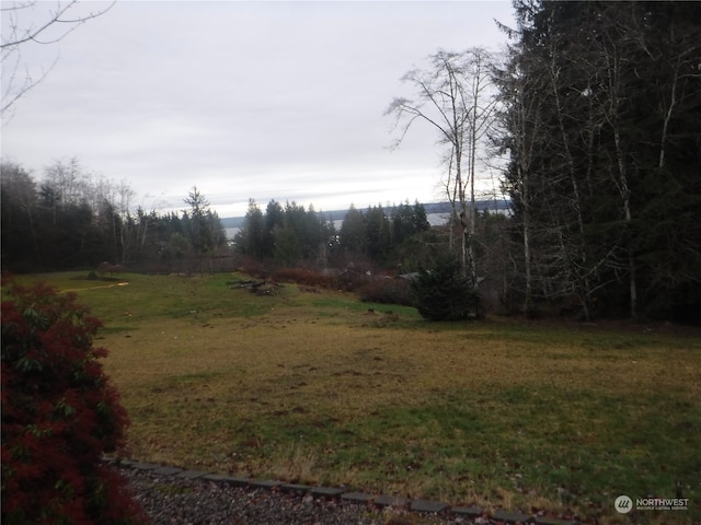 Listing photo 2 for 0 Niemann Ln, Hoquiam WA 98550