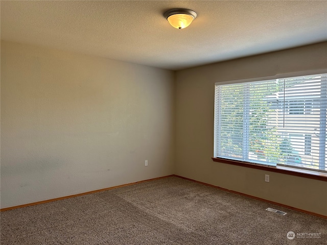 carpeted empty room with a textured ceiling and plenty of natural light