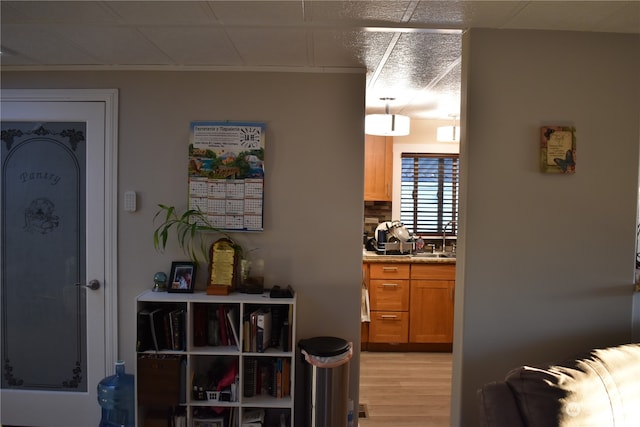 kitchen with light hardwood / wood-style floors and sink