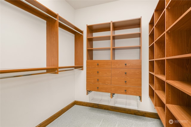 spacious closet with carpet