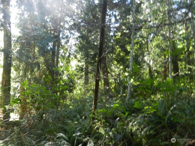 8888 Harrington Dr, Quilcene, WA 98376
