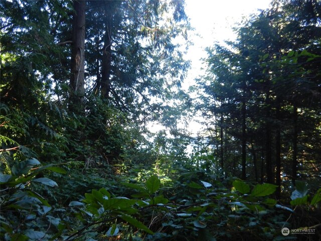 8888 Harrington Dr, Quilcene, WA 98376