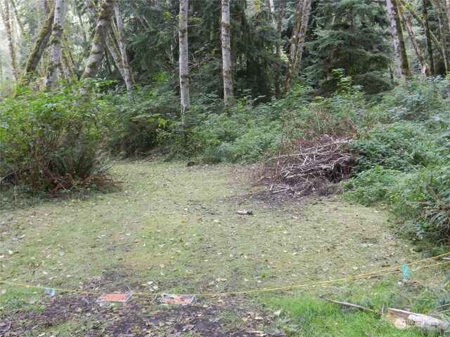 8888 Harrington Dr, Quilcene, WA 98376