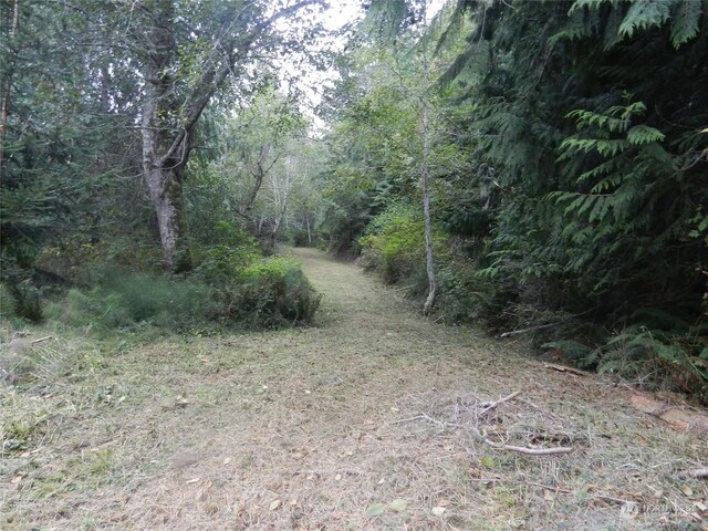 8888 Harrington Dr, Quilcene, WA 98376