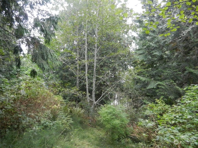 8888 Harrington Dr, Quilcene, WA 98376