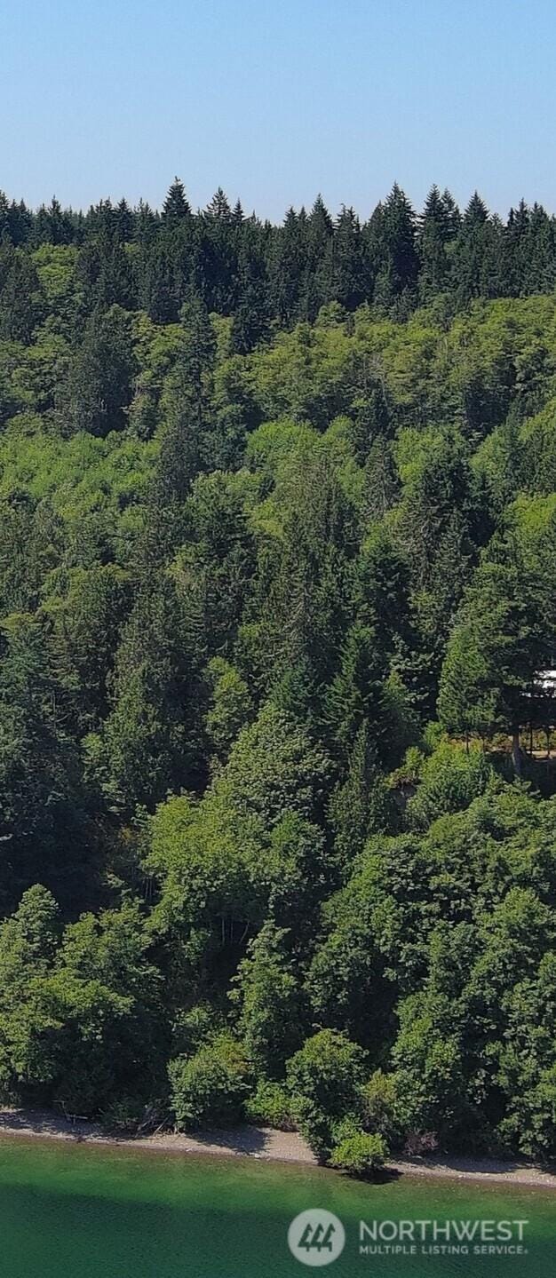 8888 Harrington Dr, Quilcene, WA 98376 - photo 10