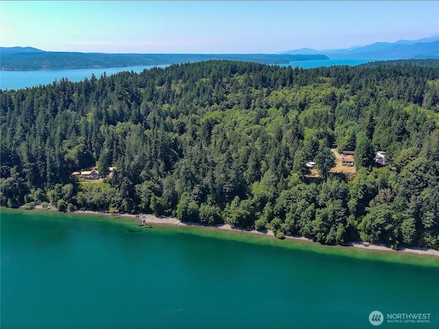 8888 Harrington Dr, Quilcene, WA 98376 - photo 1