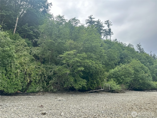 8888 Harrington Dr, Quilcene, WA 98376 - photo 16