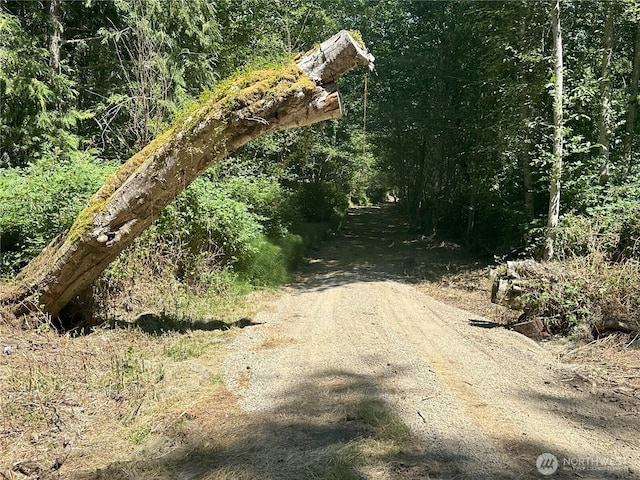 8888 Harrington Dr, Quilcene, WA 98376 - photo 26