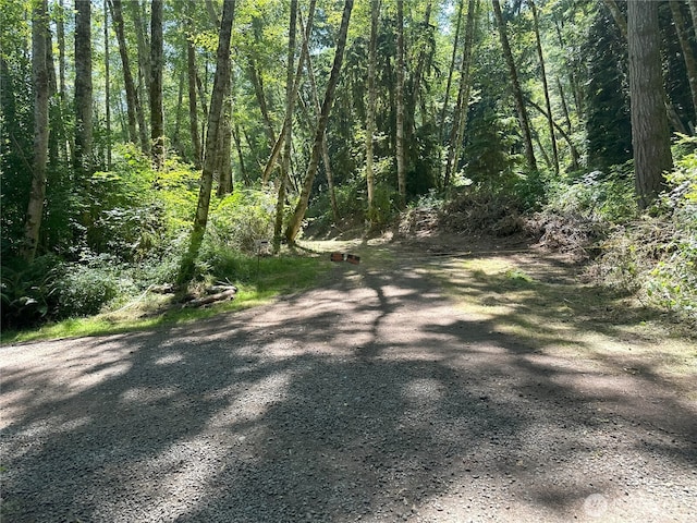 8888 Harrington Dr, Quilcene, WA 98376 - photo 24