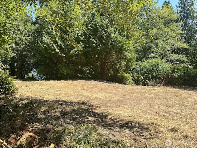 8888 Harrington Dr, Quilcene, WA 98376 - photo 4