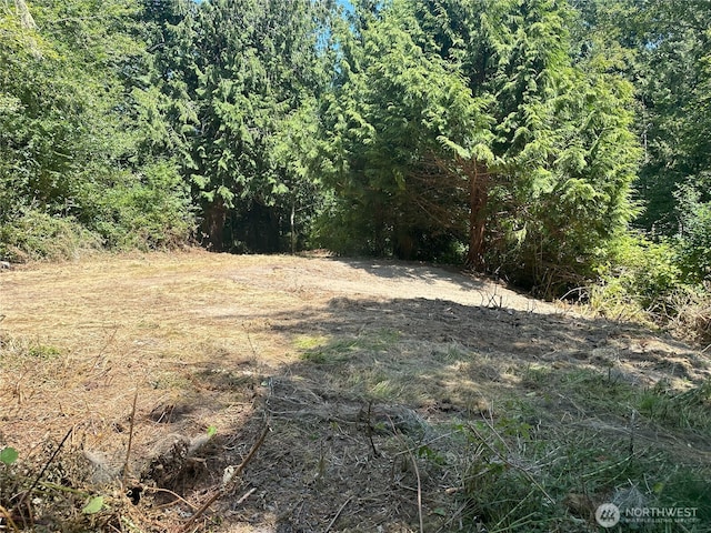 8888 Harrington Dr, Quilcene, WA 98376 - photo 5