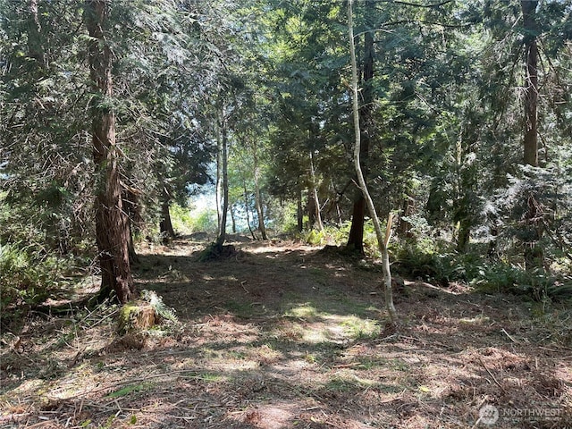8888 Harrington Dr, Quilcene, WA 98376 - photo 7