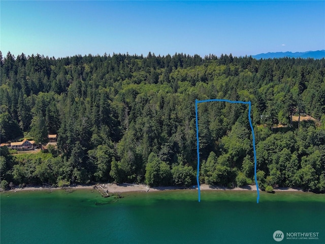 8888 Harrington Dr, Quilcene, WA 98376 - photo 2