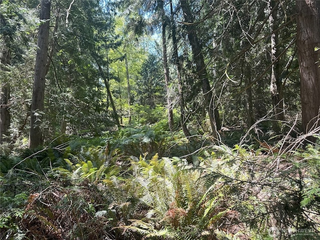 8888 Harrington Dr, Quilcene, WA 98376 - photo 20