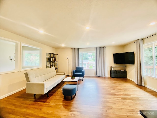 living room featuring light hardwood / wood-style floors