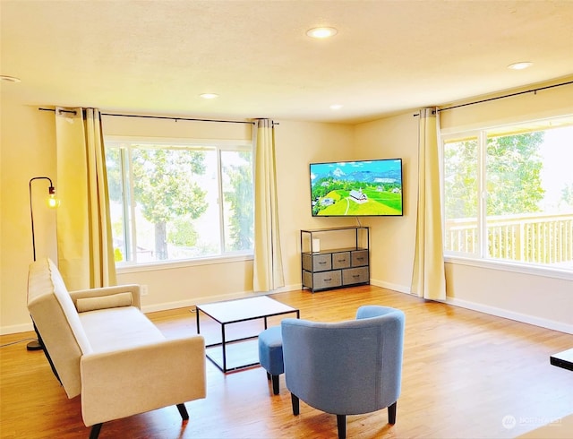 living room featuring light hardwood / wood-style flooring