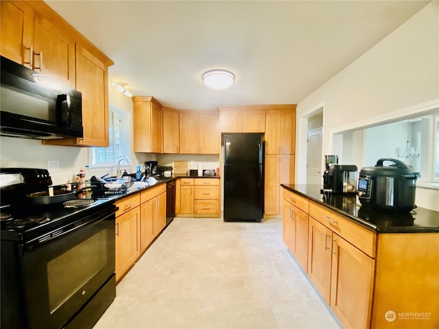 kitchen with black appliances and sink