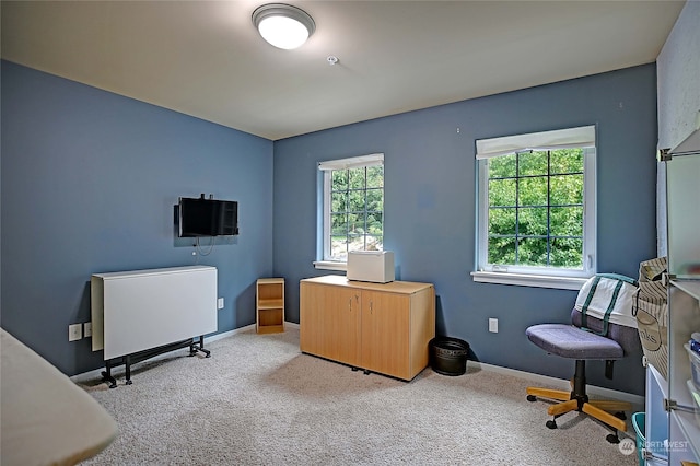 office area featuring baseboards and carpet flooring