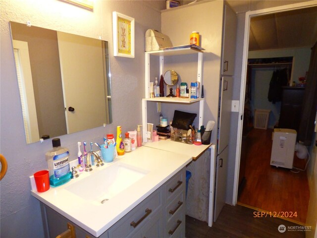 bathroom featuring sink and wood-type flooring