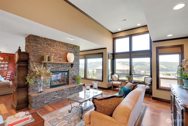 living room with a fireplace, crown molding, and light hardwood / wood-style floors