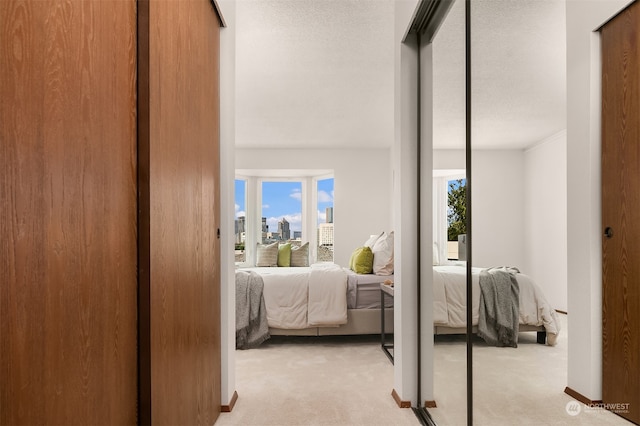 hall featuring light colored carpet, a wealth of natural light, and a textured ceiling