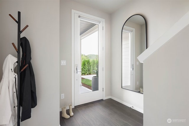 entryway with dark wood-type flooring