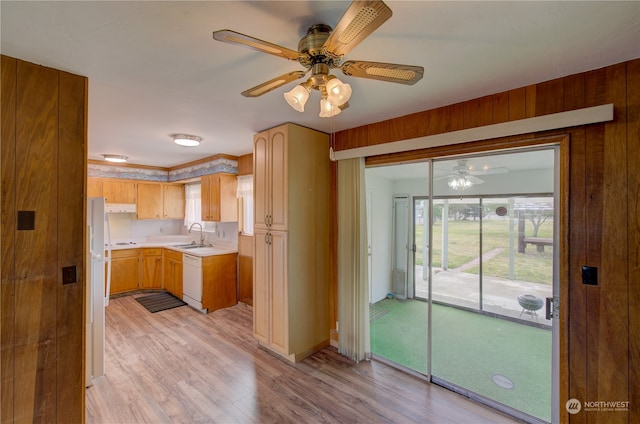 kitchen with light wood-type flooring, ceiling fan, white appliances, and sink